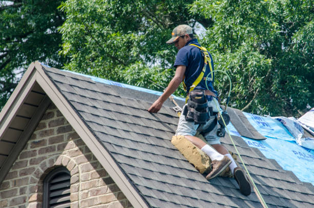 Best Metal Roofing Contractor  in Belmont, NC